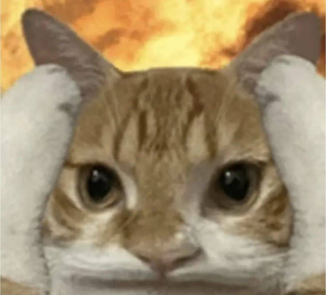 女子嘴角长水泡没重视，当晚被宣告脑死亡！医生：这种情况别当成简单的上火