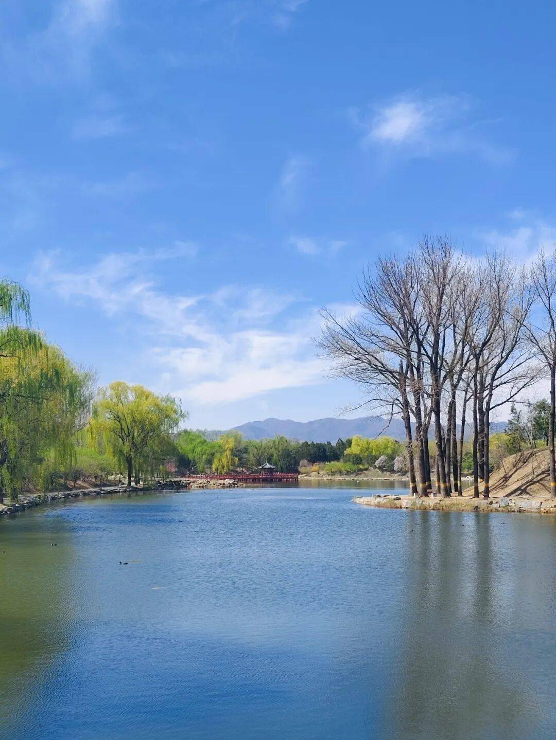 北京今天夜间气温猛然下落！未来有分散性阵雨，7级大风伴扬沙