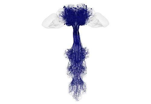 首次完整绘制！历时近20年，科学家破译这套“干饭密码”