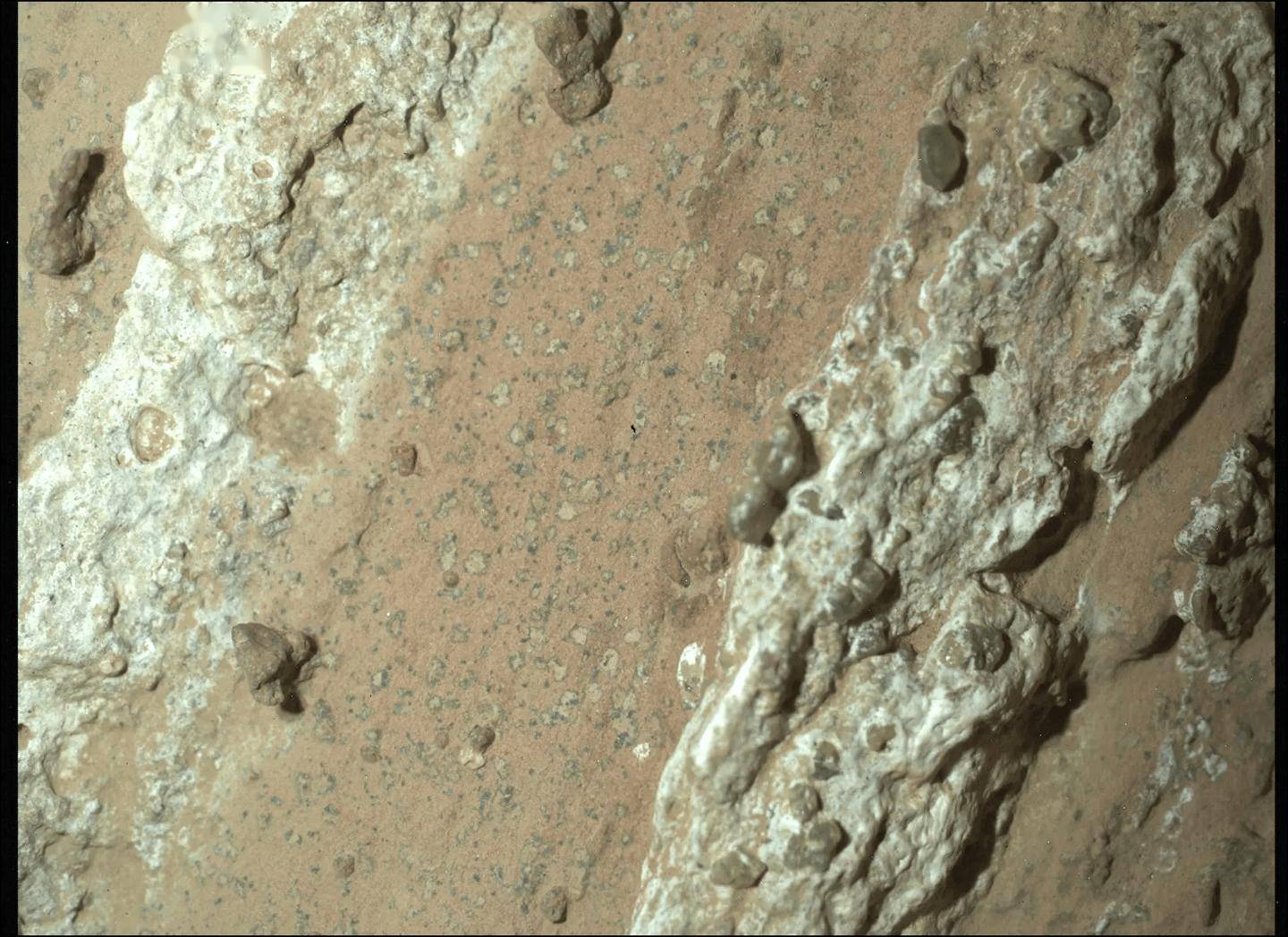 “豹纹斑点”成关键：火星被发现潜在生物特征证据