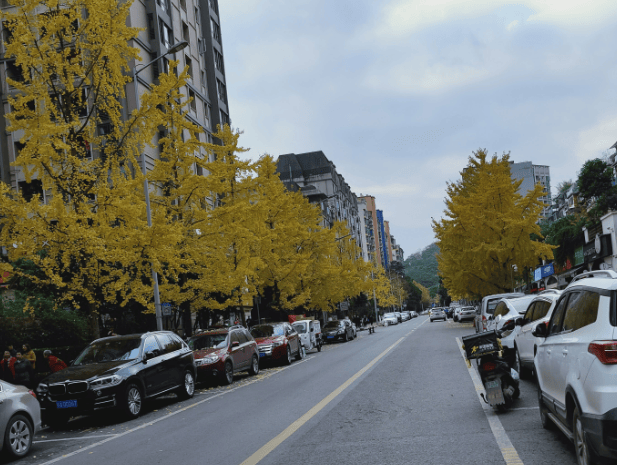 街头灯光点亮城市的夜晚