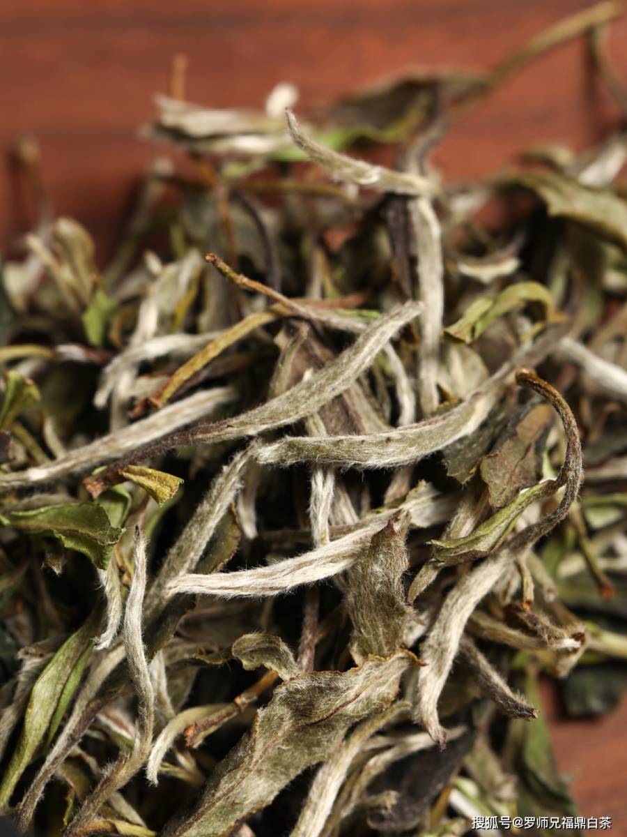 如果你喜欢白茶,那你一定会喜欢白牡丹