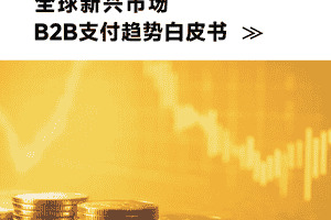 2026全球新兴市场B2B支付趋势白皮书-PhotonPay光子易-图片
