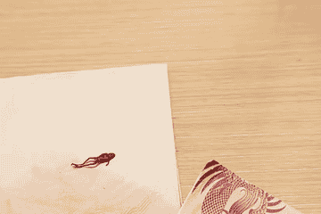 奈雪的茶被曝“喝出整只青蛙” 当事人：监管部