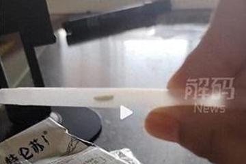 消费者曝“特仑苏”密封吸管内有活虫：质疑食品