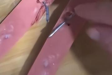 男子吃"双汇王中王"时发