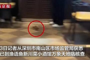 渔语鱼新餐厅老鼠当众乱窜顾客尖叫不断 立