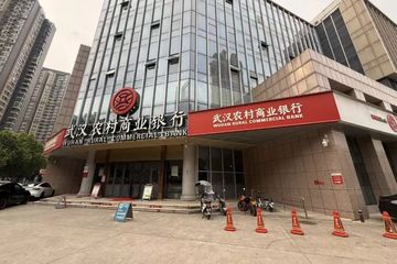 武汉石桥花园商业综合体：八年拆违悬而未决 消