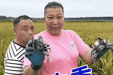 东北雨姐被曝售卖红薯粉条没红薯 博主称上门打