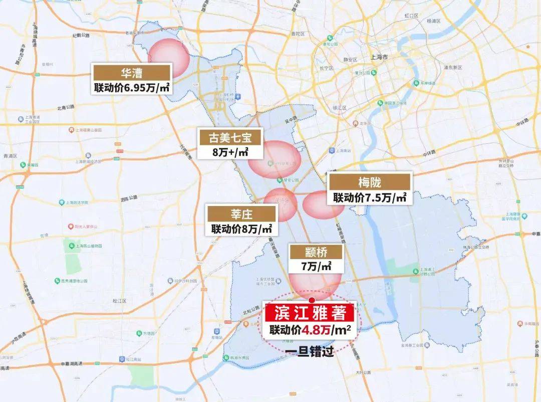 您-滨江雅著首页网站-滨江雅著楼盘详情/价格/户型_闵行_洋房_上海市