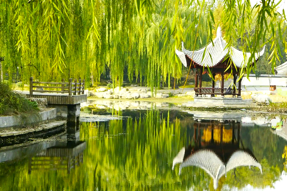 金莲聚七星20:范明叔一心学道术,拿走王重阳的经书惹