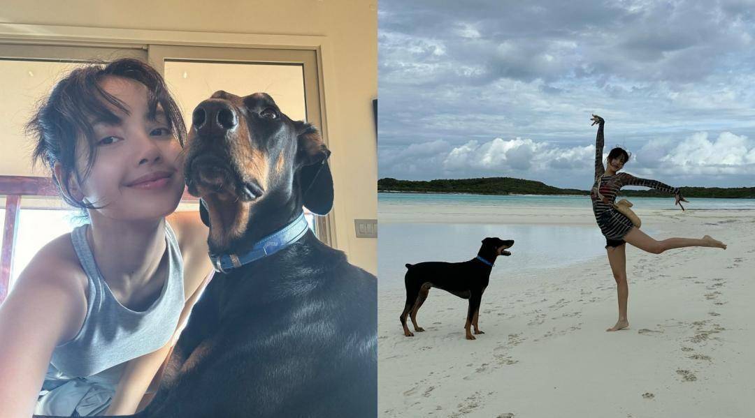 jisoo今过生日拍板定案新老板是亲哥!lisa外泄跳槽伏笔?