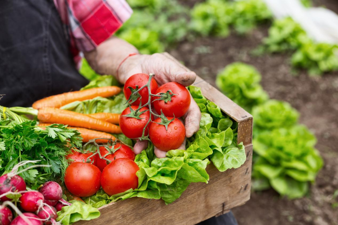 平安产险通辽|现在加入"云农场"优质农产品抱回家!_生活_蔬菜_情节