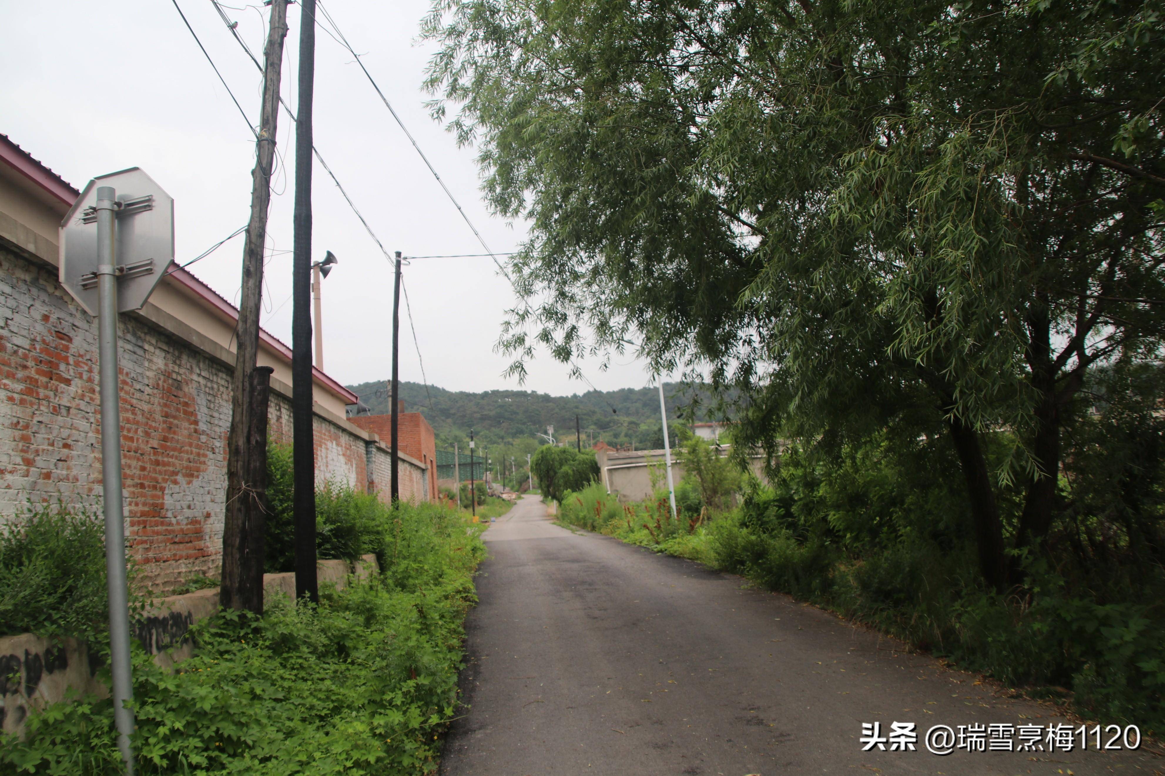 地名档案 | 沈北新区辉山街道千佛寺村 原名千佛寺庄子_沈阳_地图_清