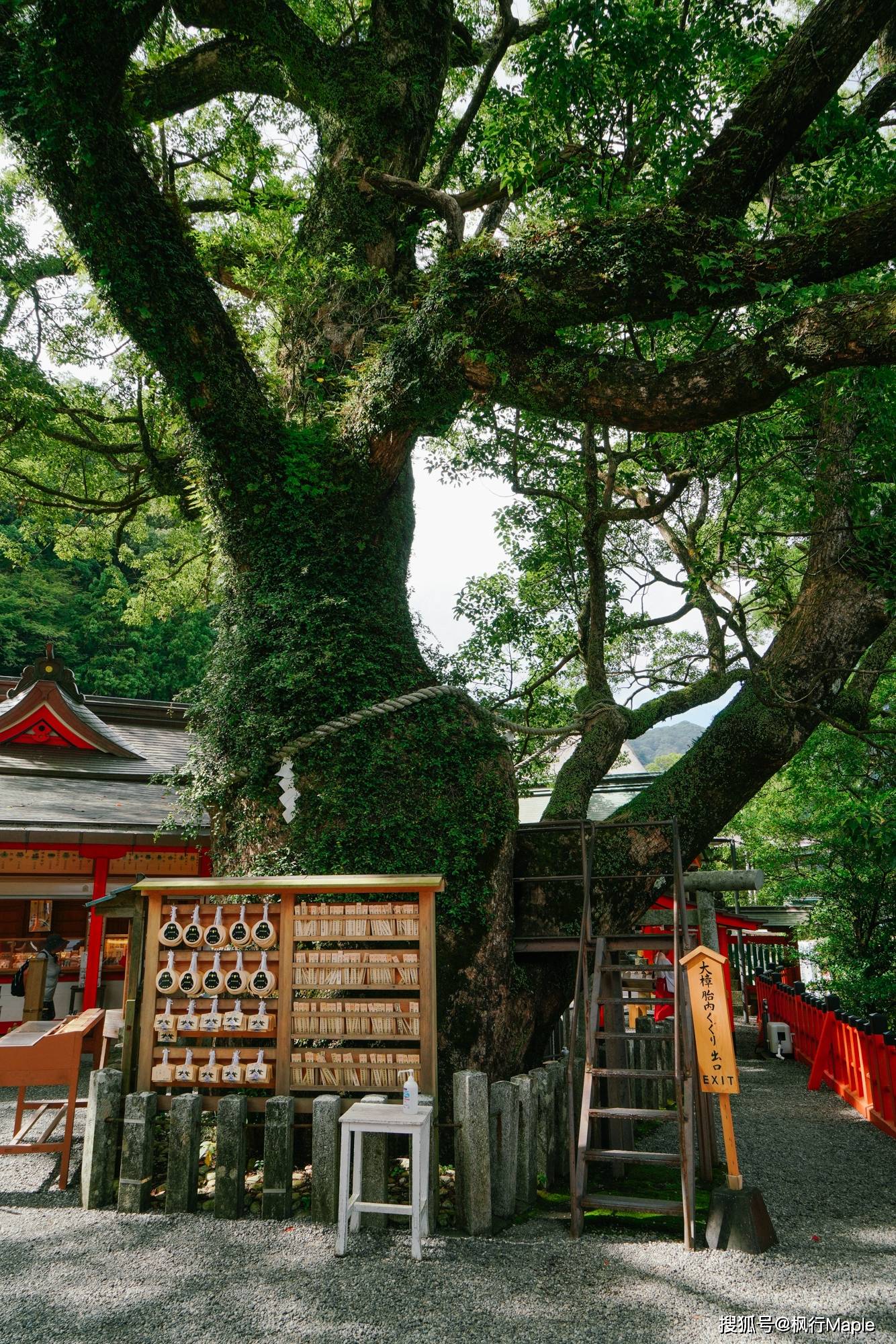 一輩子要去一次的朝聖之旅|熊野古道的那智山_日本