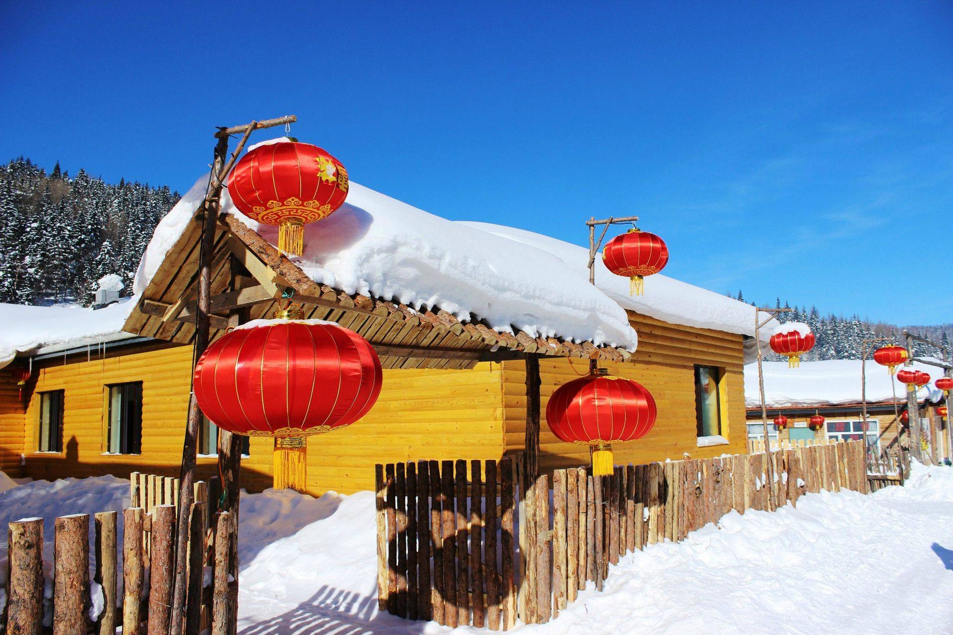 广州到雪乡5日游旅行社价格,广州去小雪五天要多少钱