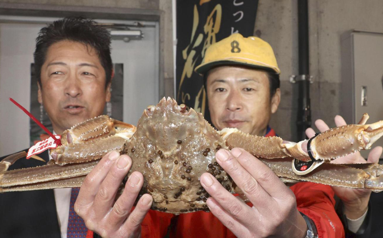 鳥取縣_產地_海水