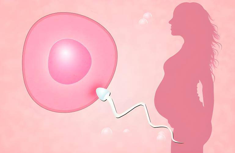 动物都有繁殖期,人类不仅没有,女性还要刻意把排卵期隐藏?