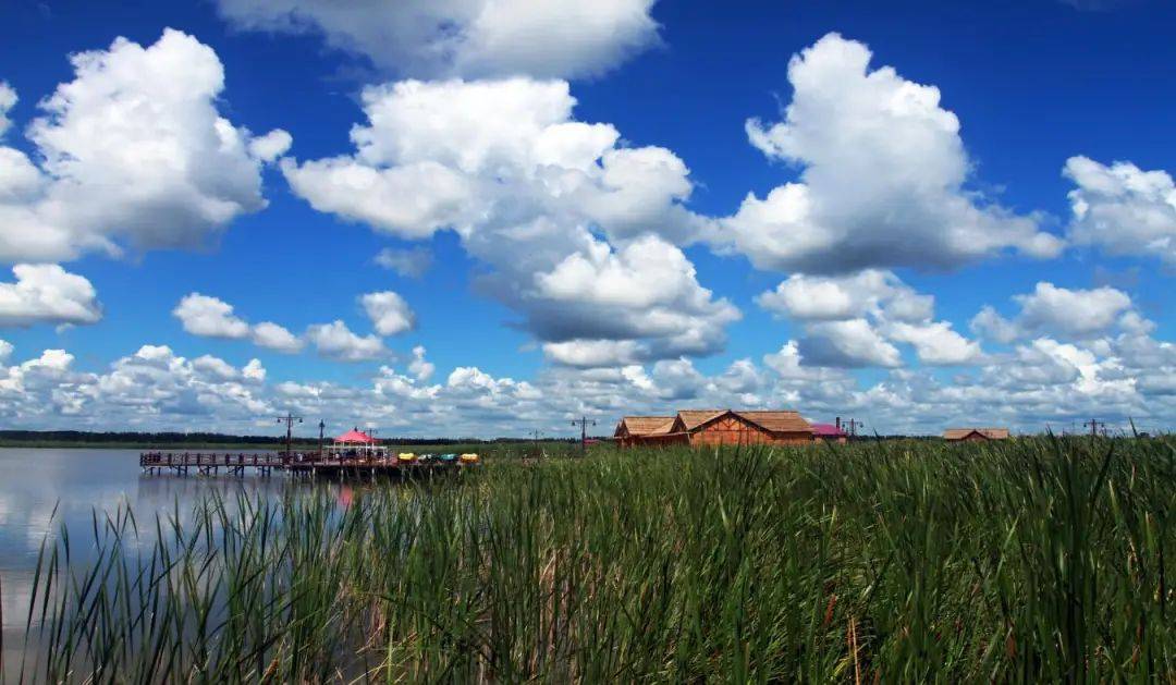 齐齐哈尔富裕县招募就业见习人员154人公告_毕业生_高校_岗位