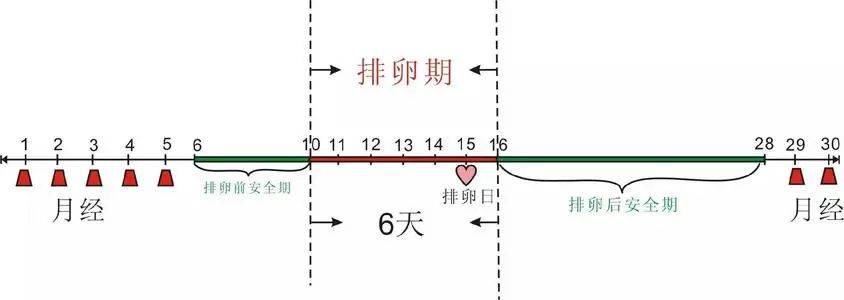 所有備孕女生,排卵期怎麼算?一文教會~_小時_卵子_月經