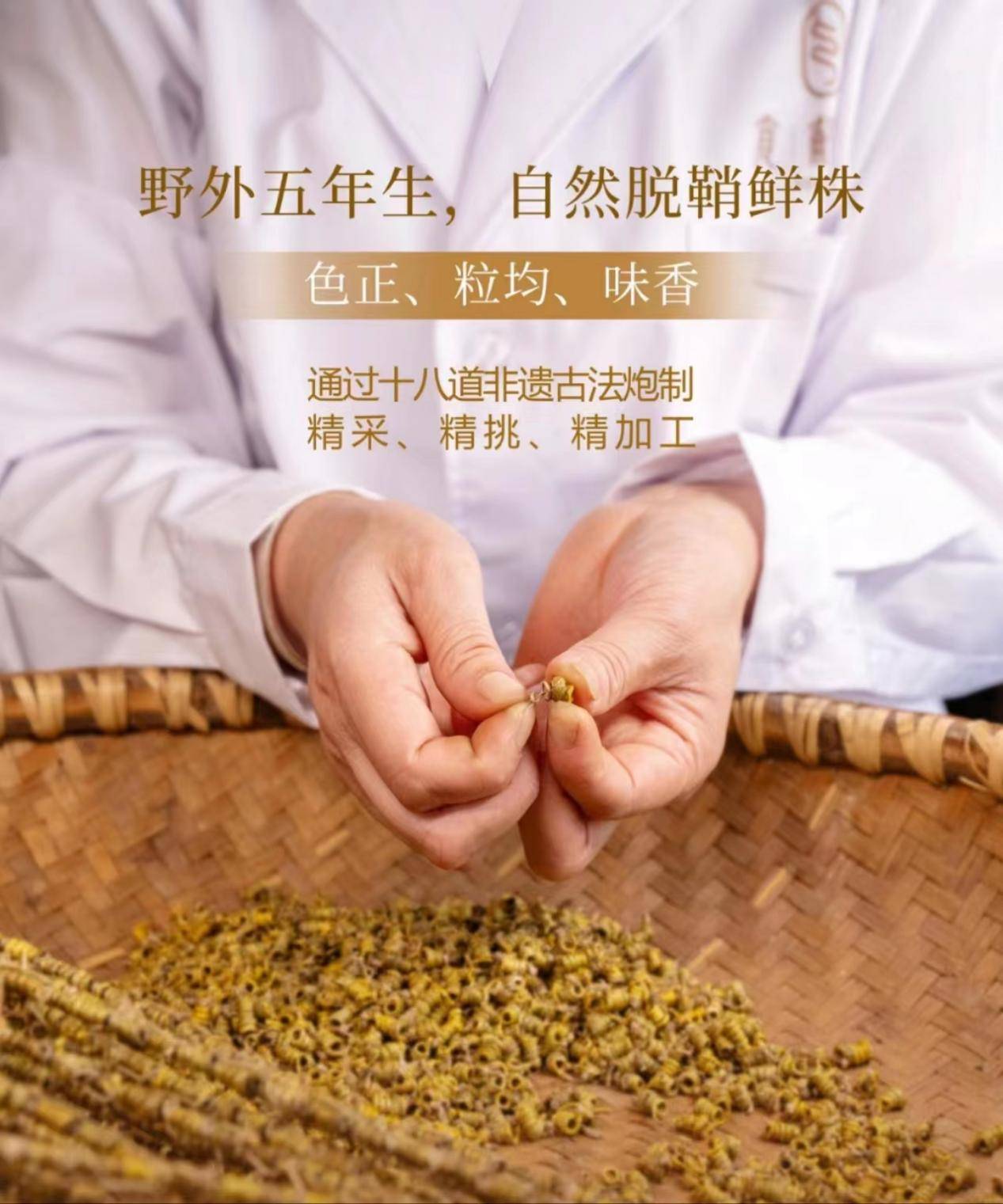 铁皮_yao_植物