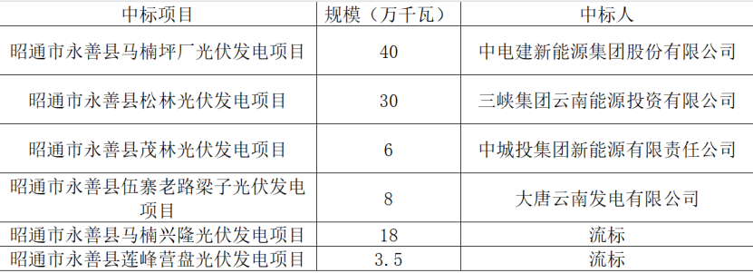 其中,中電建新能源集團股份有限公司,三峽集團雲南能源投資有限公司