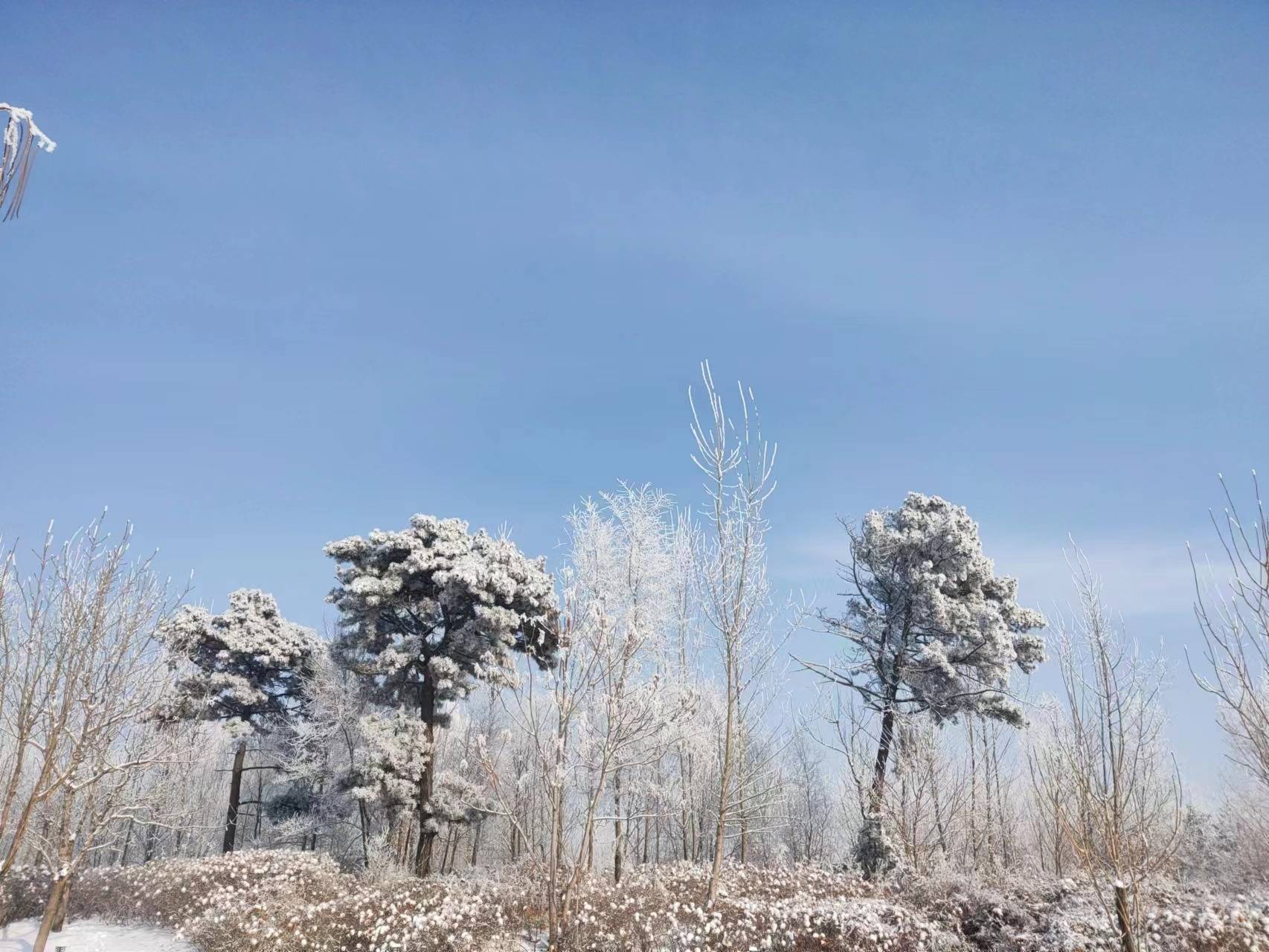 《春霑令》王娜原創詩詞八首_天地_流水_夢裡