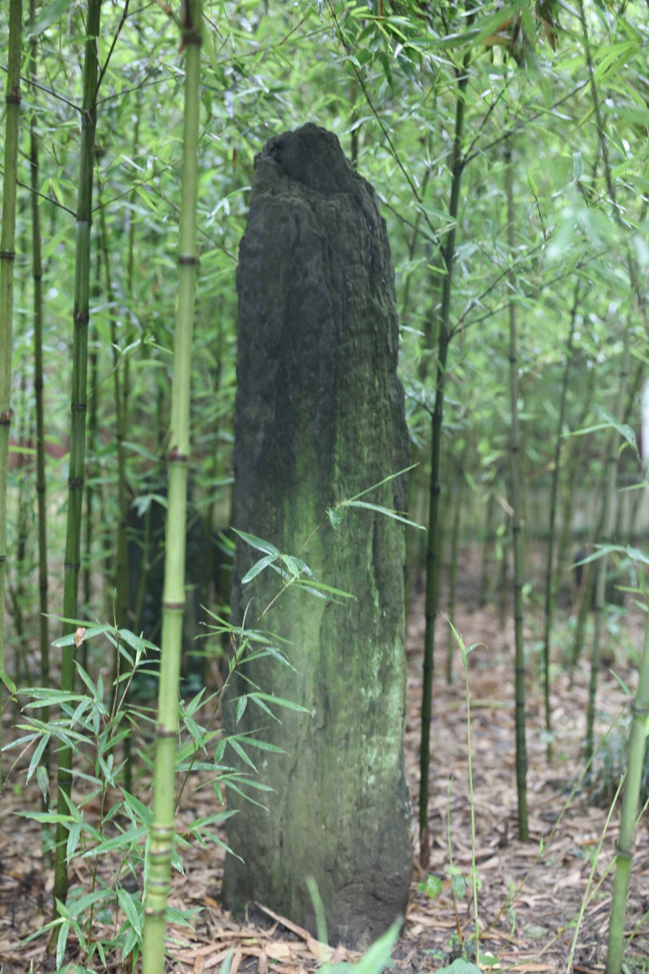 至尊排行榜_有网友表示,这个新机如果能6K价位买到就是赚,大家觉得呢?(2)