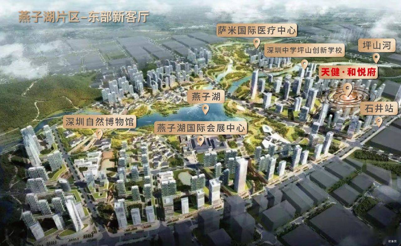 2021年深圳兩會提及加快建設9大區域,包括燕子湖新區,坪山十四五提出