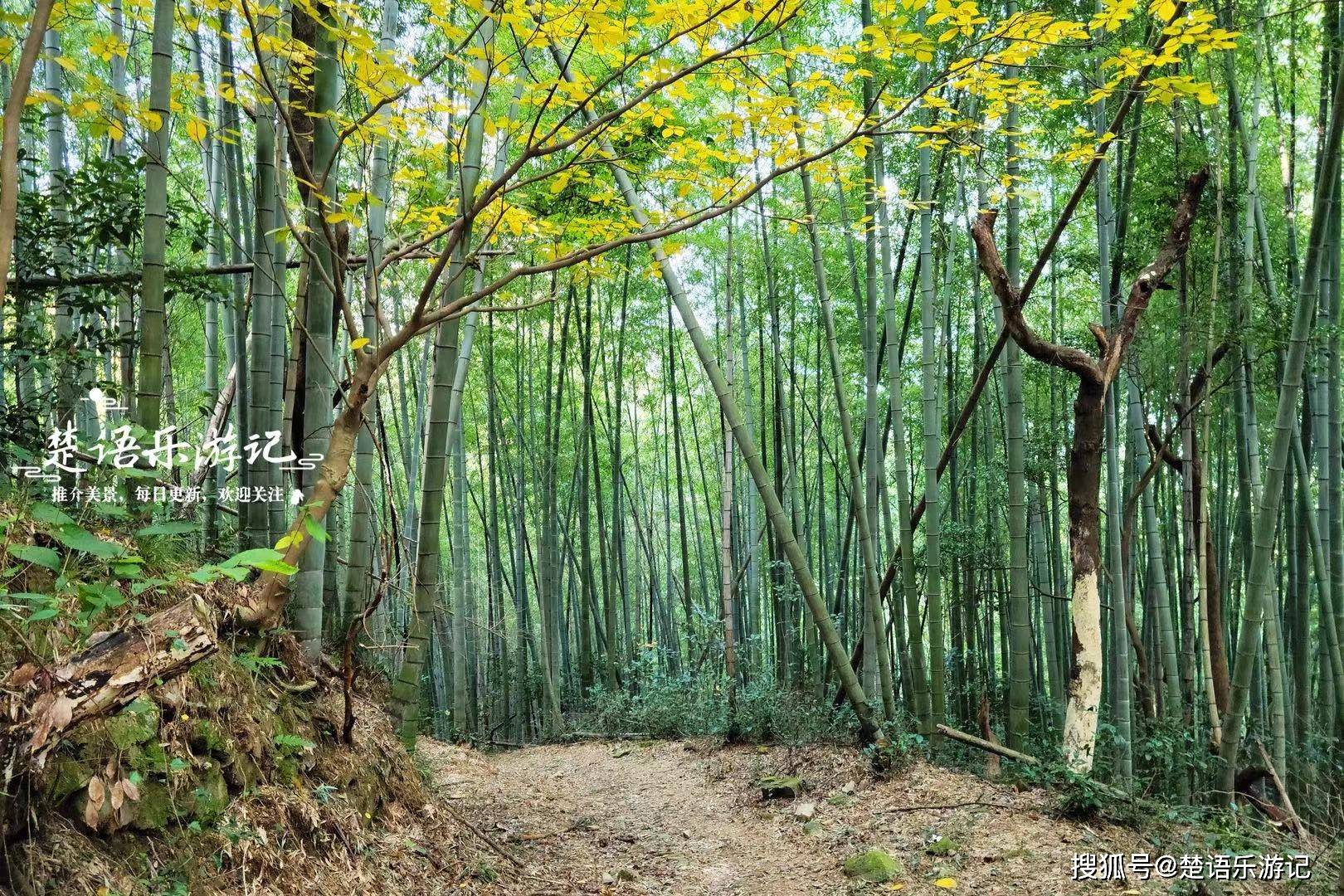 寧波這個古村人少景幽,潭瀑和古道都很優美,堪稱休閒和徒步勝地_石門