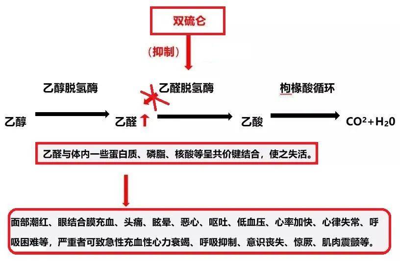 孩子吃头孢后除了不能喝酒,还不能吃什么？