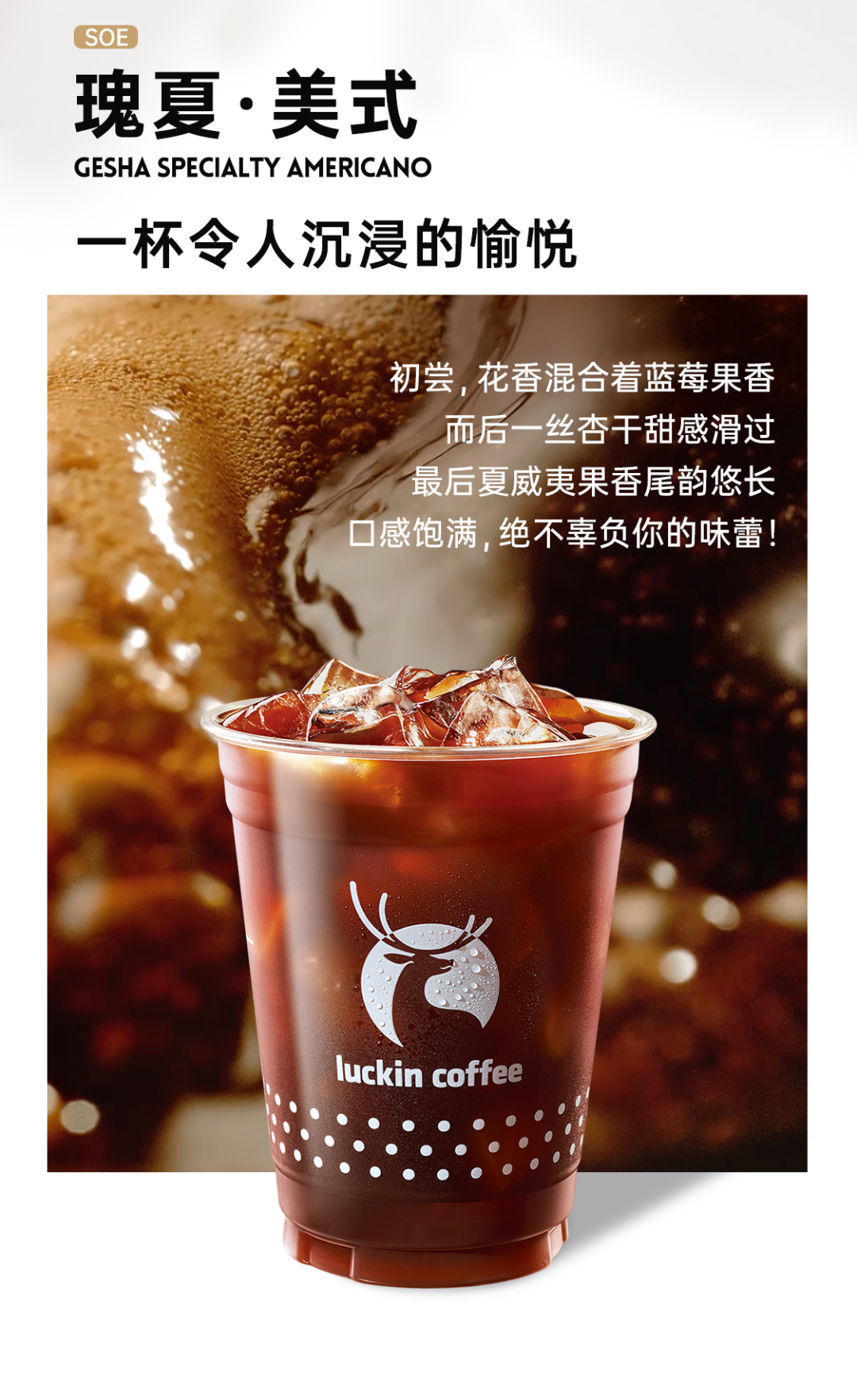 【瑞幸】传奇精品「soe·瑰夏」回归!澳网联名款!_控股集团_高邮_新城