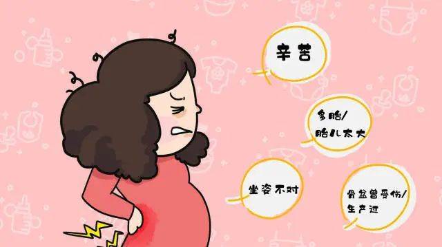 医维他|孕晚期让孕妈难以忍受的莫过于耻骨痛,做好这3点,可以有效缓解