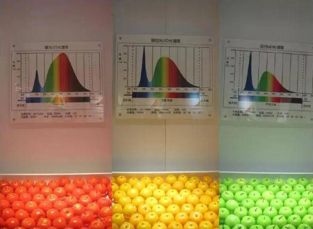 护眼台灯哪个品牌更好？汇总好用的护眼台灯前五名