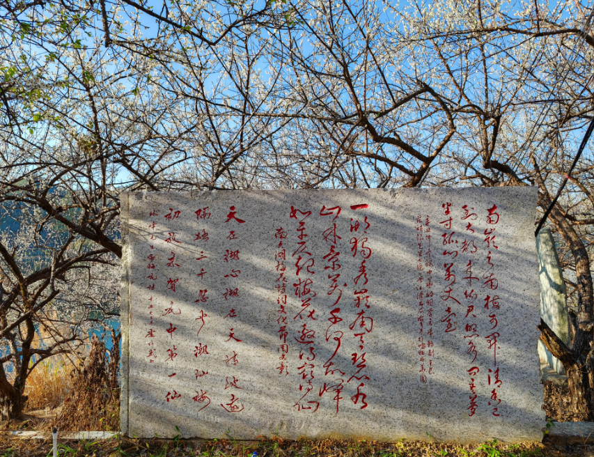 廣東汕尾市陸河縣南天湖風景區,依山傍水,背倚南翠峰,遙對神象山,西有