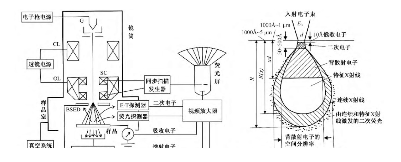 如何在掃描電子顯微鏡中選擇合適的掃描速度_圖像