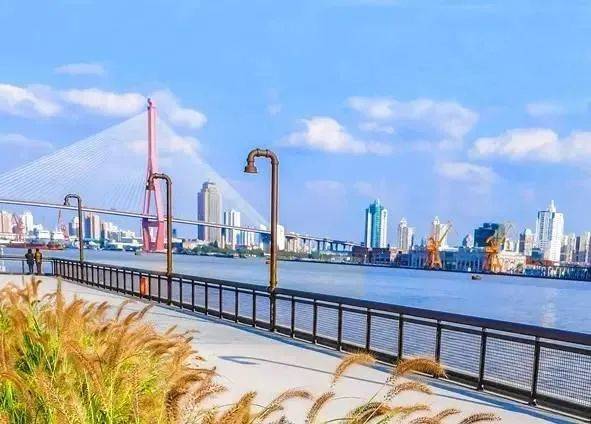 瑞安·翠湖滨江丨(杨浦)欢迎您丨瑞安·翠湖滨江怎么样/房价/户型图