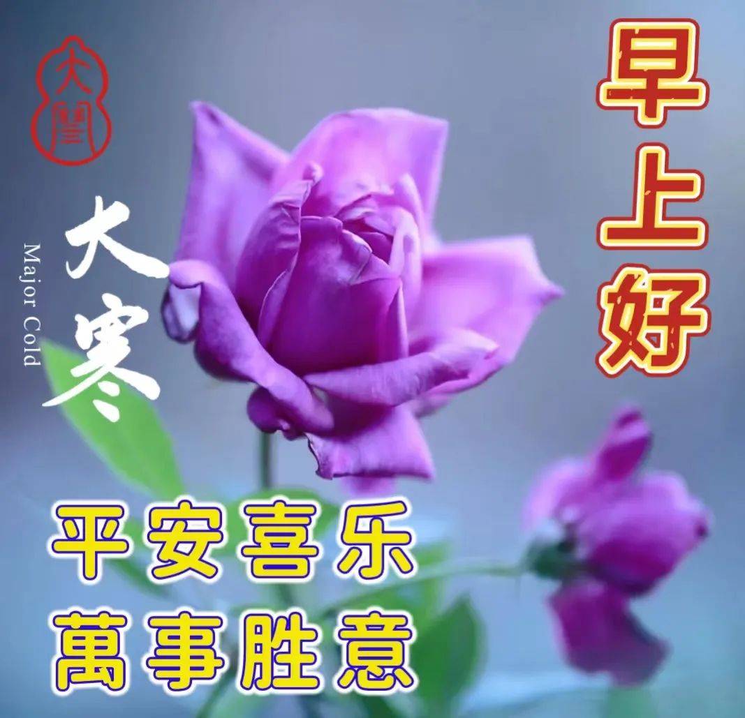 精选大寒节气早安祝福图片带字早上好语录