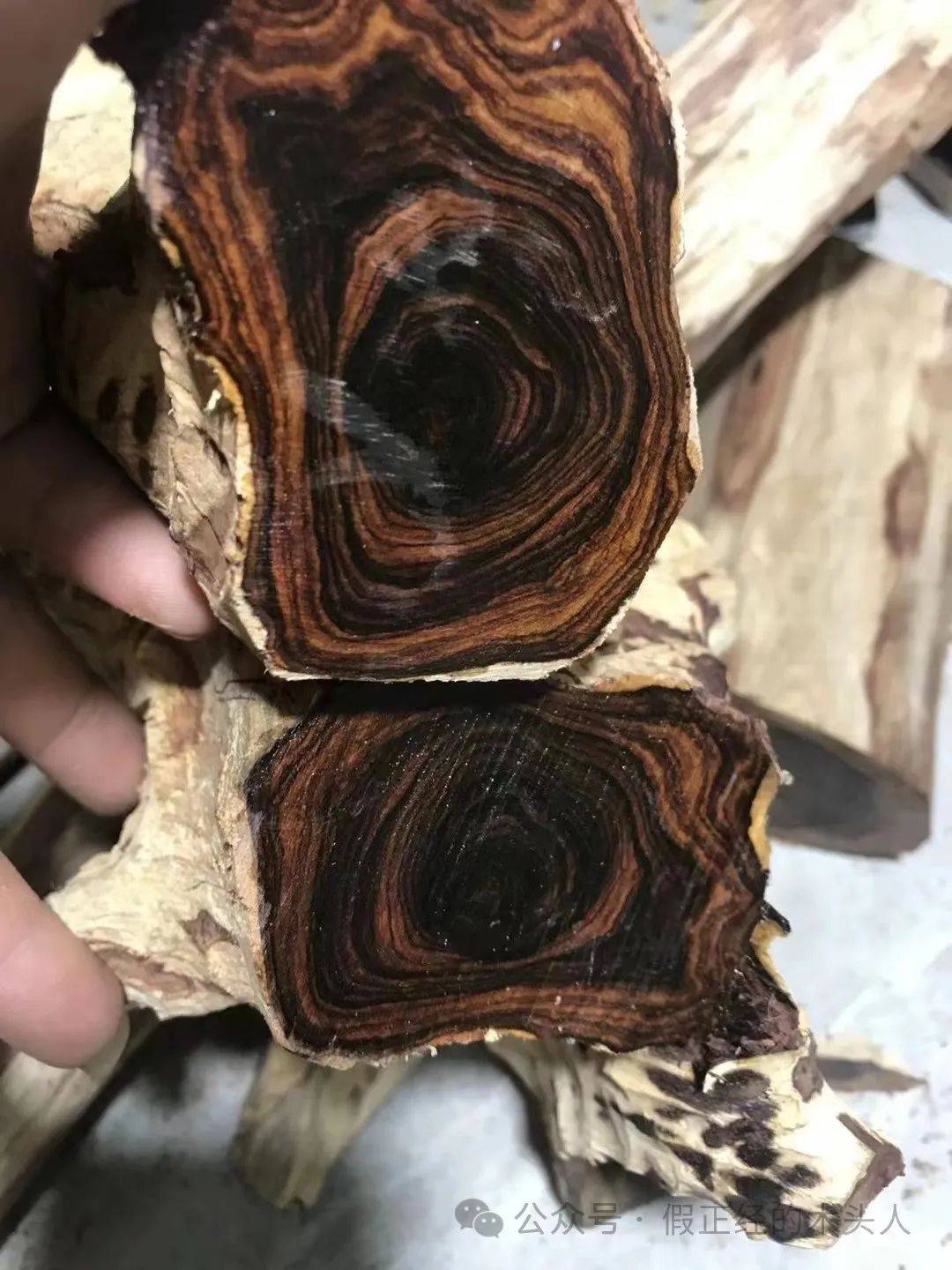 海南黄花梨(一)海南黄花梨认知(2)产地:海口(火山口)_材料_产区_东方