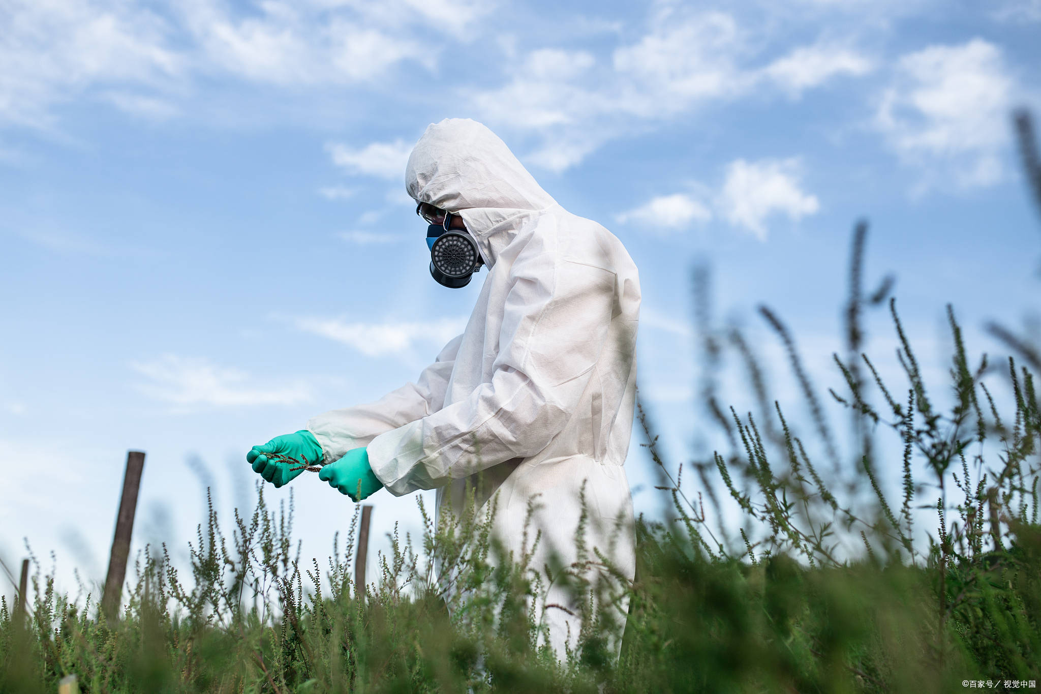有害生物防治员怎么考取证书？考证难吗？