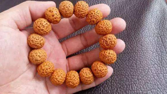 佛螺菩提到底是什么?_是一种_果核_澳洲