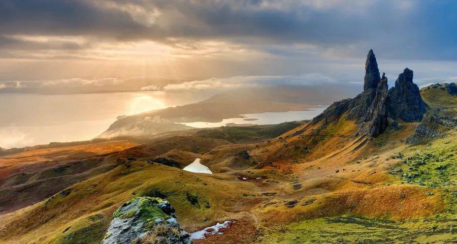 中小家电厂商不能在躺平中被动出局-家电圈官网