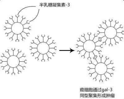 簡筆畫 手繪 線稿 401_321