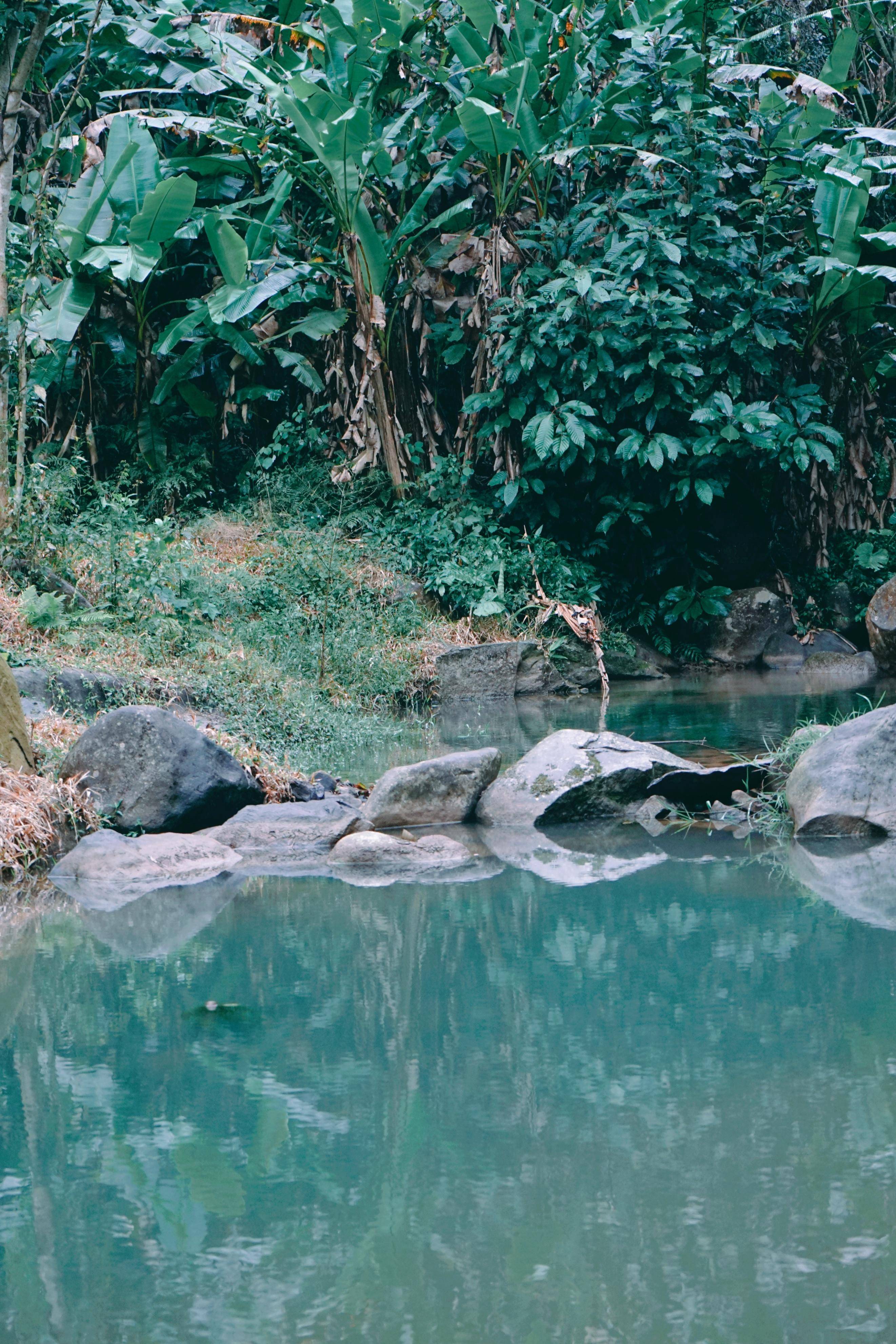 幽深靜謐,溪谷水流清澈,以山地戶外運動為核心,帳篷,客房住宿,酒吧