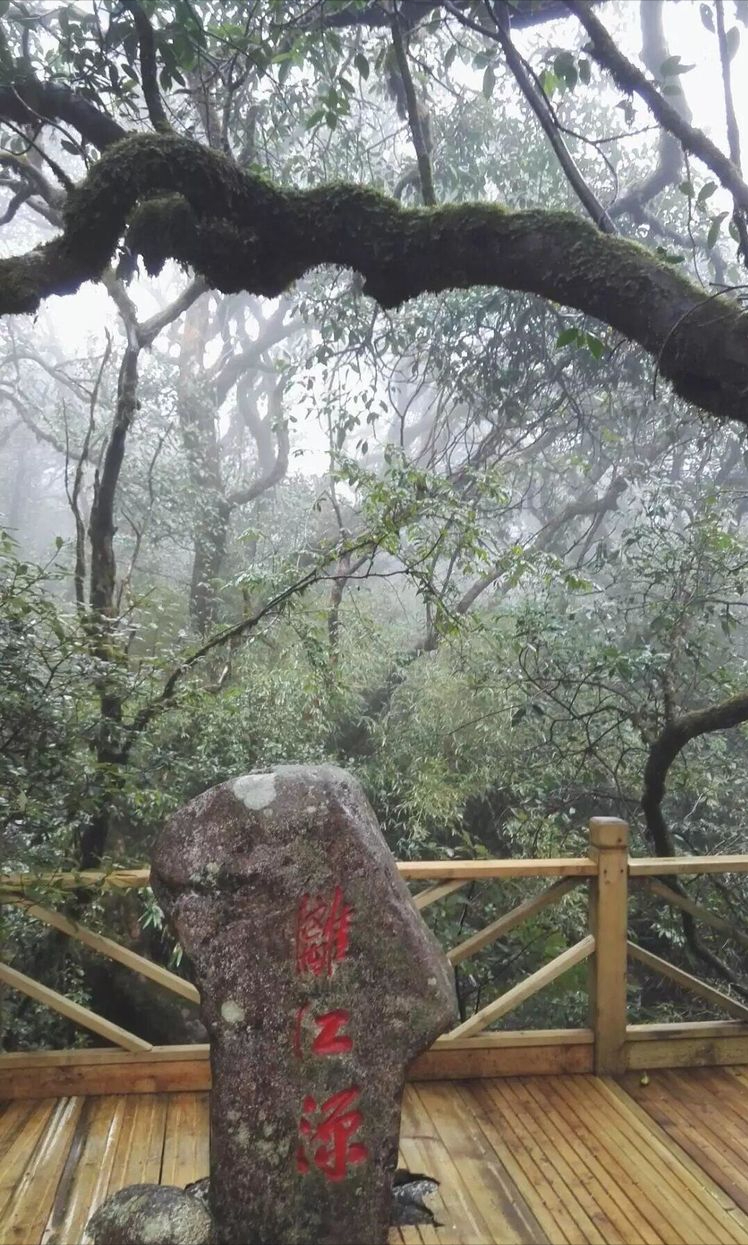 五岭之冠猫儿山(游记)