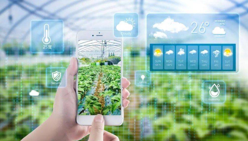 数字化乡村智能管理:引领农业革命,助推农民增产致富_服务_农村_发展