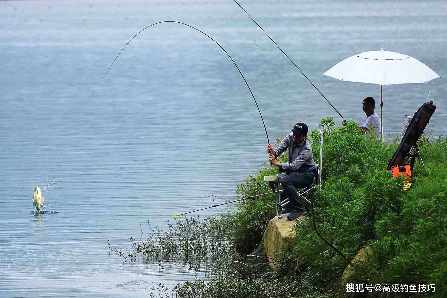 声音对钓鱼的影响测试,看看鱼最怕哪种声音_窝子里_传导_警惕性