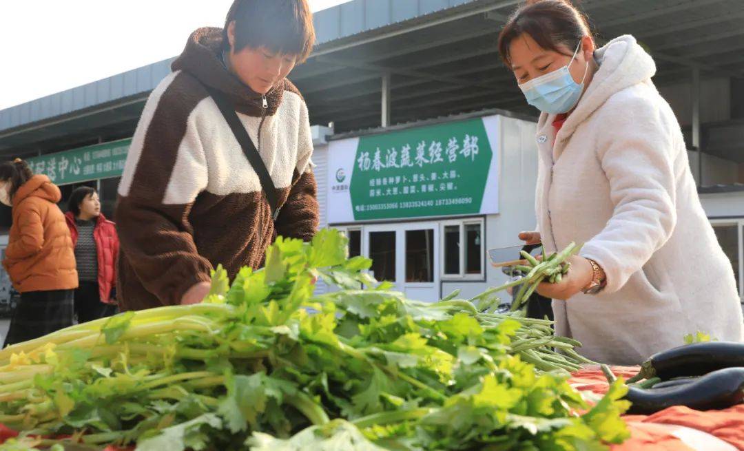 新海阳市场年货大集火爆秦皇岛!