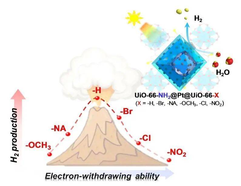 機理研究表明,uio-66-x殼層作為微環境參數,反向調控uio-66-nh2(光敏