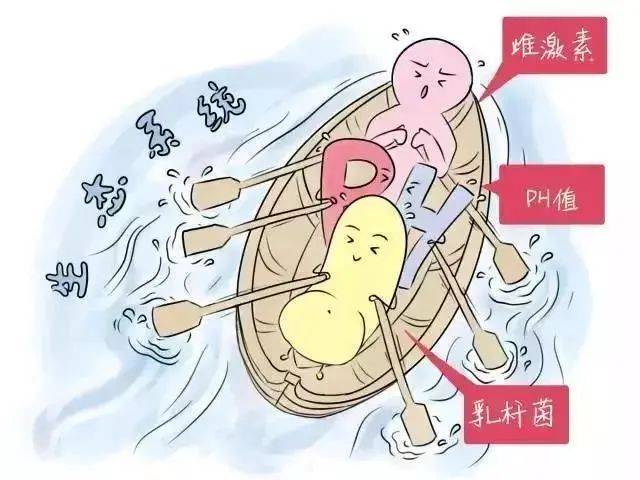 华克维两性霉素b阴道泡腾片去炎有一套~_私处_建议_女性